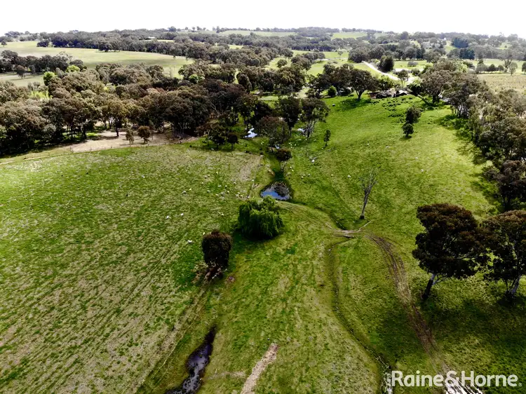 79 Race Creek Road, Wombat NSW 2587