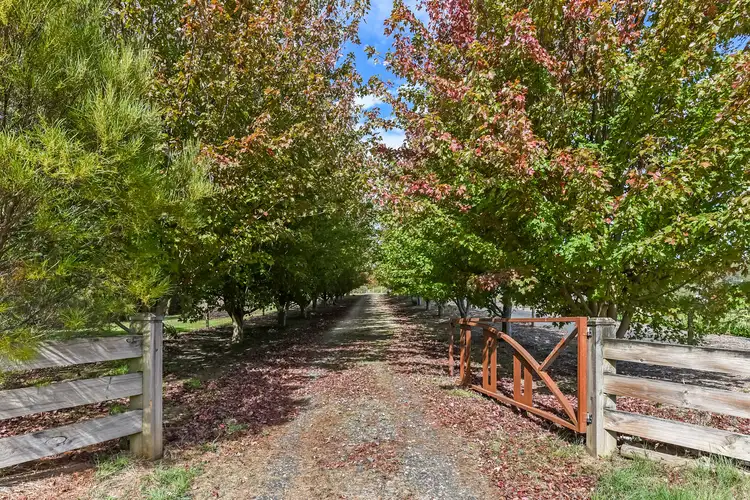 40A McDougal Road, Neerim South VIC 3831