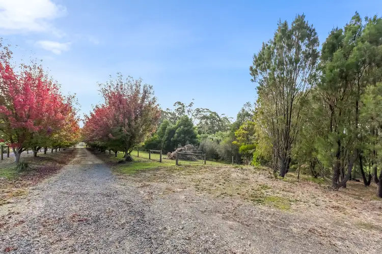 Third view of Homely land listing, 40A McDougal Road, Neerim South VIC 3831
