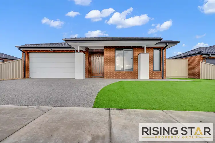 43 Kardinia Street