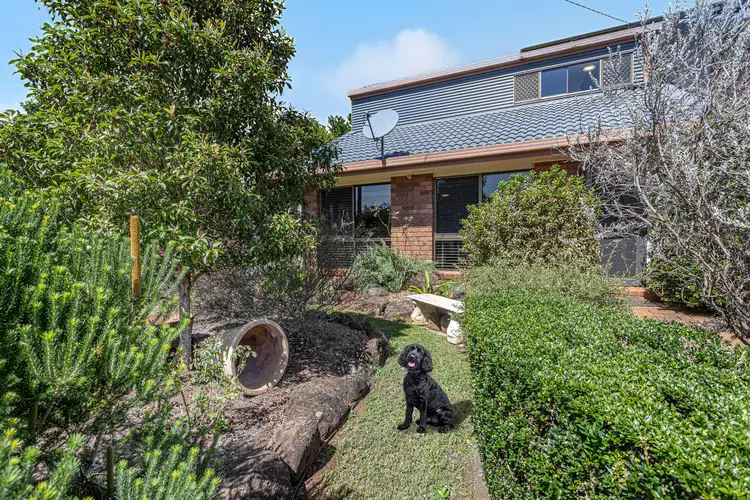 Second view of Homely house listing, 16 Aster Street, Centenary Heights QLD 4350