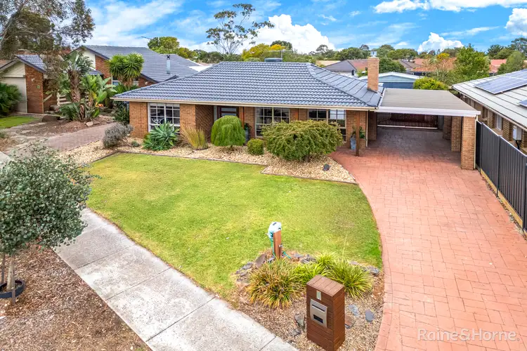 3 Scullin Court