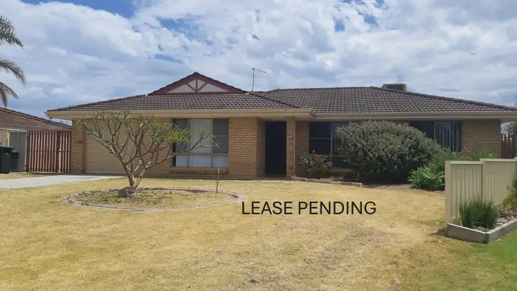 3 Wedge Court, Cooloongup WA 6168