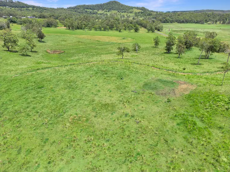 Second view of Homely rural property listing, 1106 Naughtons Gap Road, Bentley NSW 2480