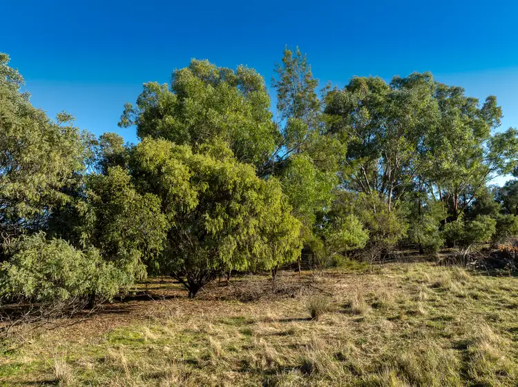 Seventh view of Homely land listing, 82 Starrlea Road, Molong NSW 2866
