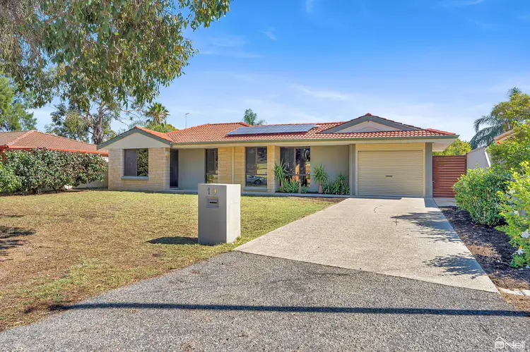 19 Fortunella Grove, Seville Grove WA 6112