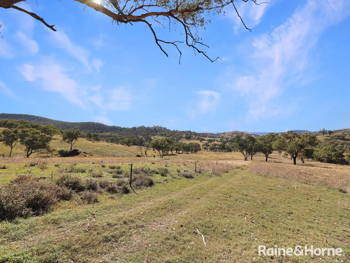 Main view of Homely rural property listing, 636 The Bridle Track, Duramana NSW 2795