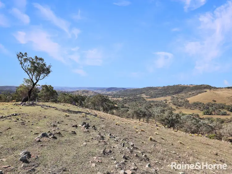 Second view of Homely rural property listing, 636 The Bridle Track, Duramana NSW 2795