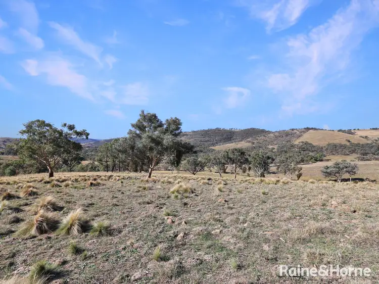 Sixth view of Homely rural property listing, 636 The Bridle Track, Duramana NSW 2795