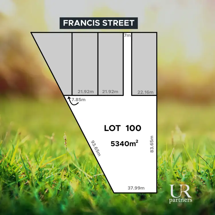 22 Francis Street, Stirling North SA 5710