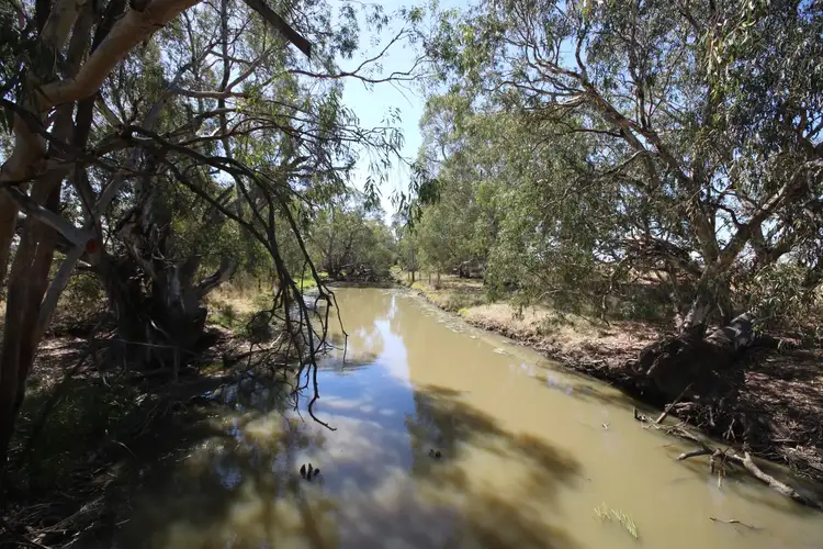 Main view of Homely rural property listing, 221 Frosts Road, Canary Island VIC 3537