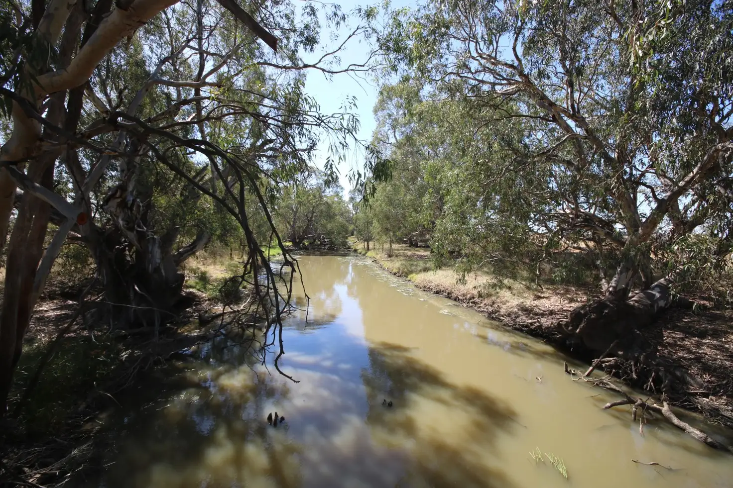 Main view of Homely rural property listing, 221 Frosts Road, Canary Island VIC 3537