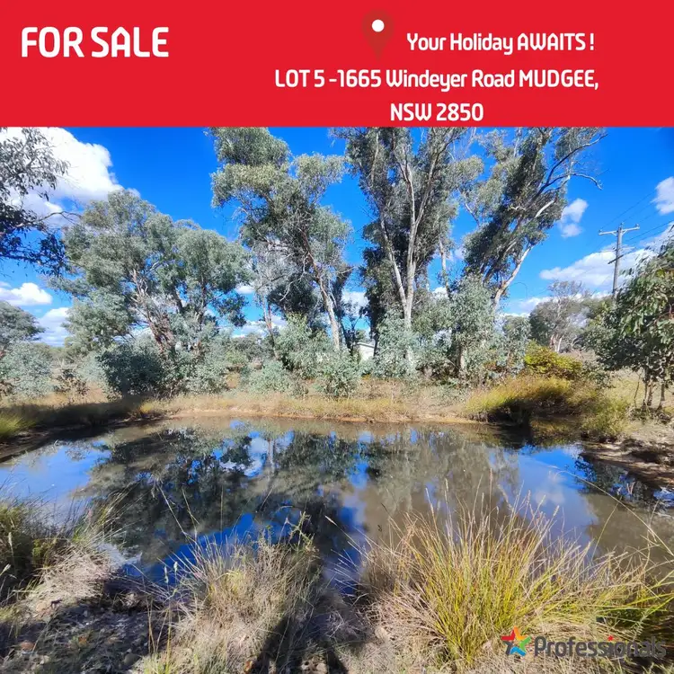 LOT 5-1665 Windeyer Road, Mudgee NSW 2850