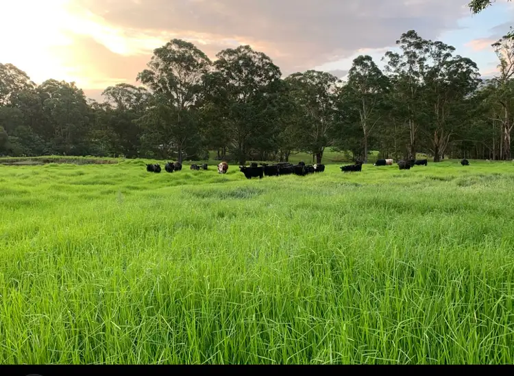 Third view of Homely land listing, Lot 4 Marden Lane, Kangaroo Valley NSW 2577