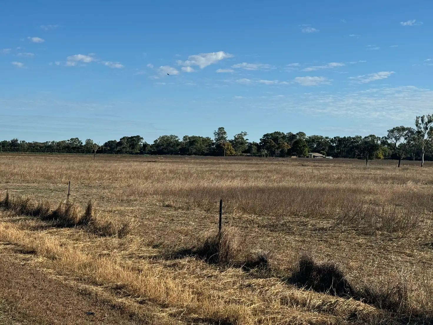 Main view of Homely rural property listing, 335 & 375 Molongle Creek Road, Guthalungra QLD 4805