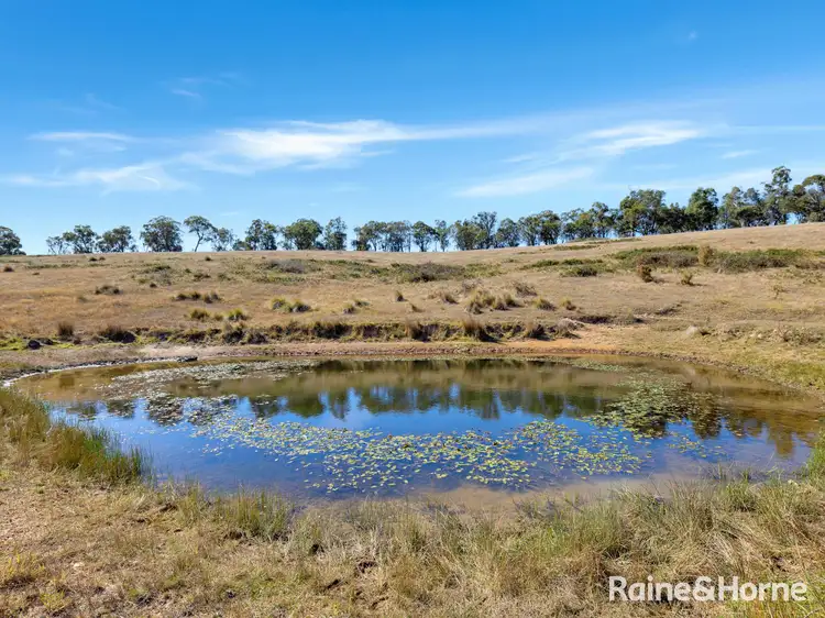 Fourth view of Homely rural property listing, Part/2899 Great Western Highway, Meadow Flat NSW 2795