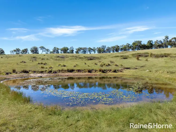 Fourth view of Homely rural property listing, Part/2899 Great Western Highway, Meadow Flat NSW 2795