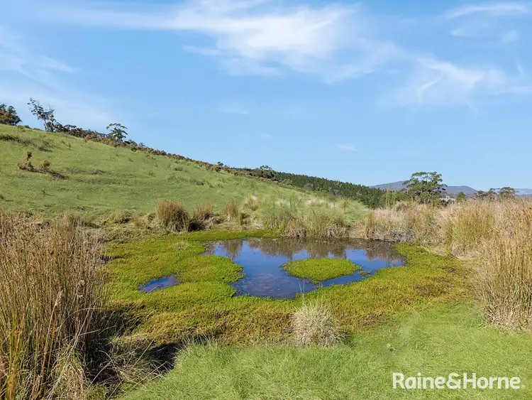 Fifth view of Homely rural property listing, Part/2899 Great Western Highway, Meadow Flat NSW 2795