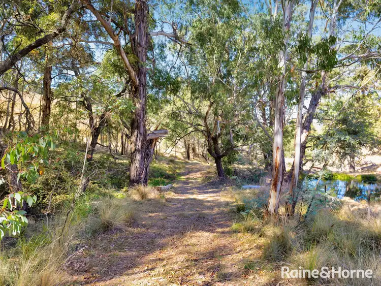 Seventh view of Homely rural property listing, Part/2899 Great Western Highway, Meadow Flat NSW 2795