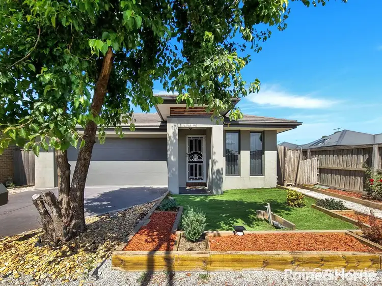 10 Crissa Street, Tarneit VIC 3029