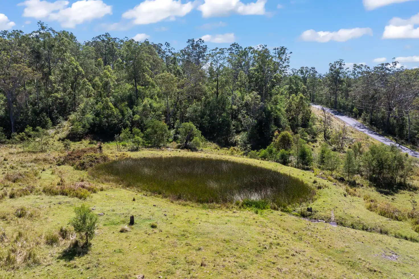 Main view of Homely rural property listing, 97 Long Gully Road, Drake NSW 2469