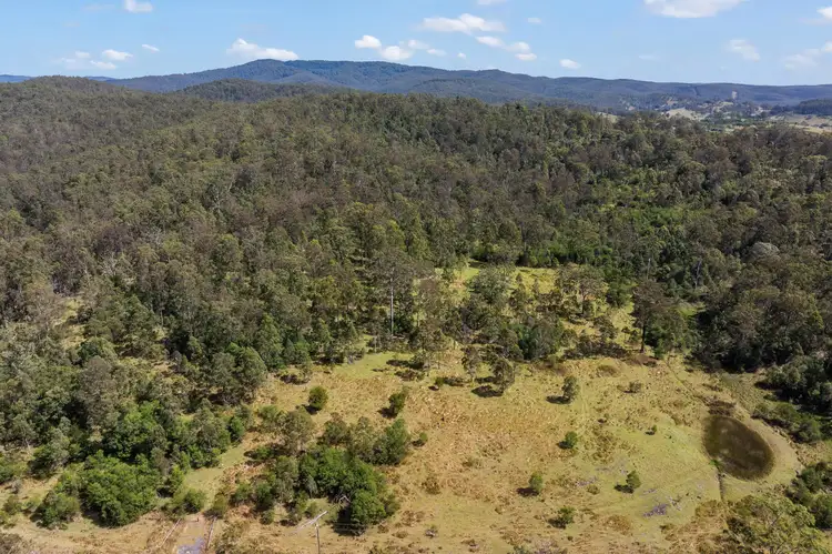 Seventh view of Homely rural property listing, 97 Long Gully Road, Drake NSW 2469