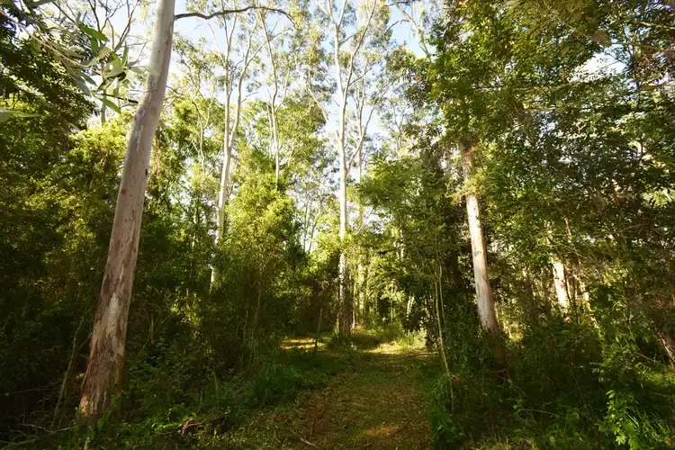 Sixth view of Homely land listing, LOT 4, 219 Cooks Road, South Isis QLD 4660