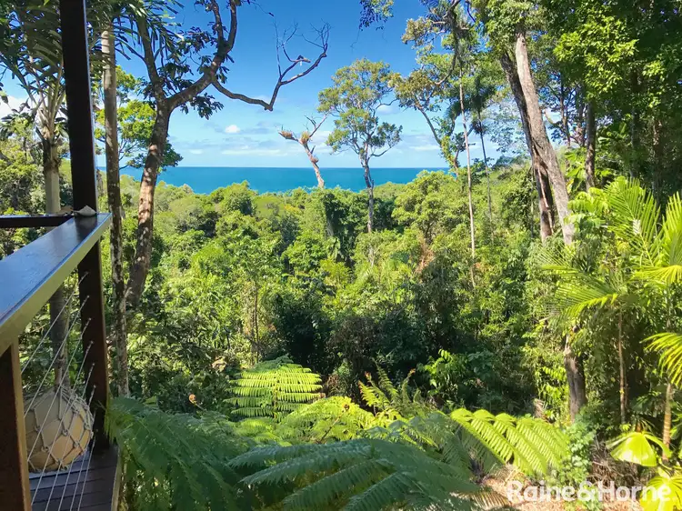 50 R  (L 274) Penda Close, COW BAY, Daintree QLD 4873