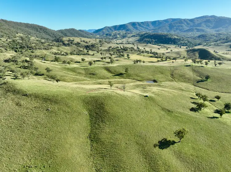Fifth view of Homely rural property listing, "Colly View" Glen Creek Road, Scone NSW 2337