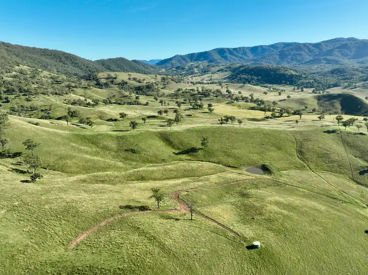 Seventh view of Homely rural property listing, "Colly View" Glen Creek Road, Scone NSW 2337