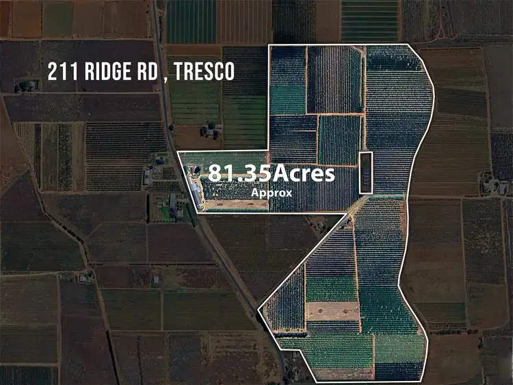 211 Ridge Road, Tresco VIC 3583