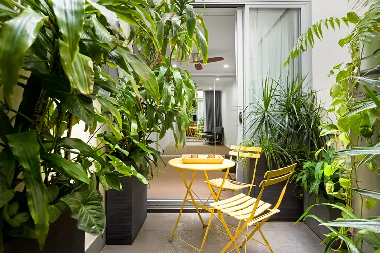 Main view of Homely apartment listing, 1/20-22 Station Street, Marrickville NSW 2204