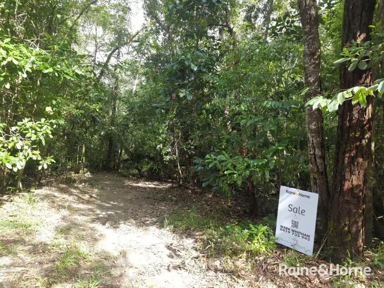 Lot 246 White Beech Road Cow Bay, Daintree QLD 4873