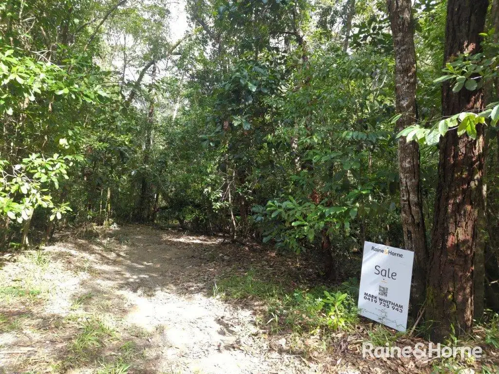 Main view of Homely land listing, Lot 246 White Beech Road Cow Bay, Daintree QLD 4873