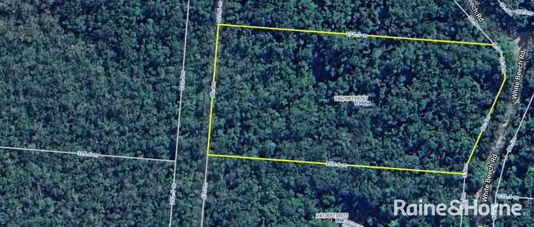 Fourth view of Homely land listing, Lot 246 White Beech Road Cow Bay, Daintree QLD 4873