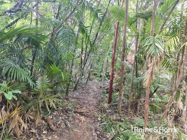 Fifth view of Homely land listing, Lot 246 White Beech Road Cow Bay, Daintree QLD 4873