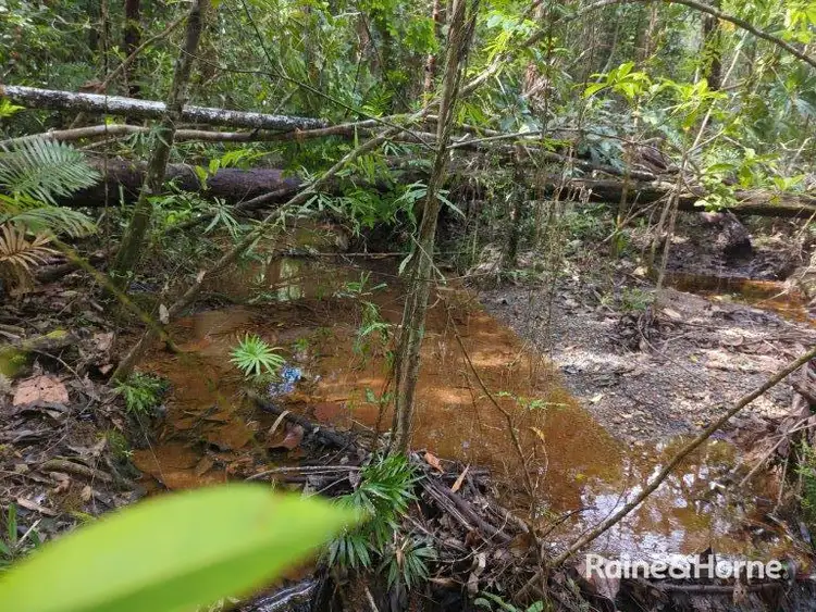 Sixth view of Homely land listing, Lot 246 White Beech Road Cow Bay, Daintree QLD 4873