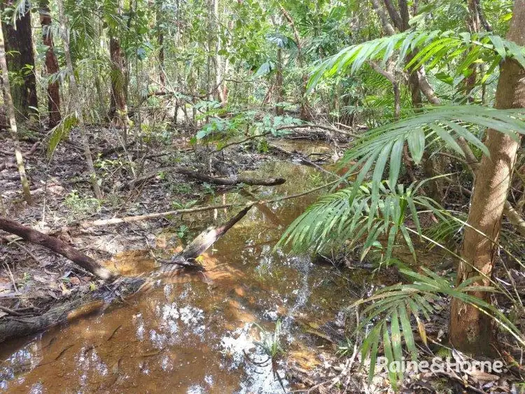 Seventh view of Homely land listing, Lot 246 White Beech Road Cow Bay, Daintree QLD 4873