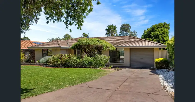 62 Currawong Crescent