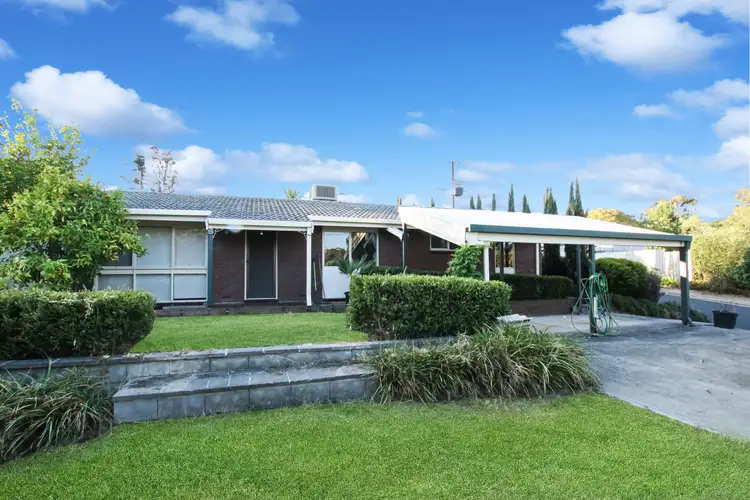 19 Candy Road, O'halloran Hill SA 5158