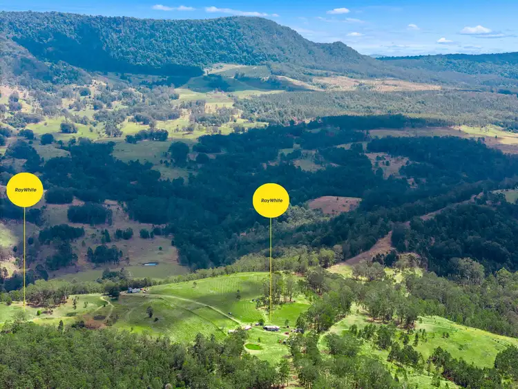 497 Yabbra Road, Bonalbo NSW 2469