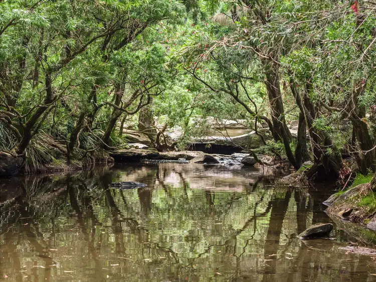 497 Yabbra Road, Yabbra NSW 2469