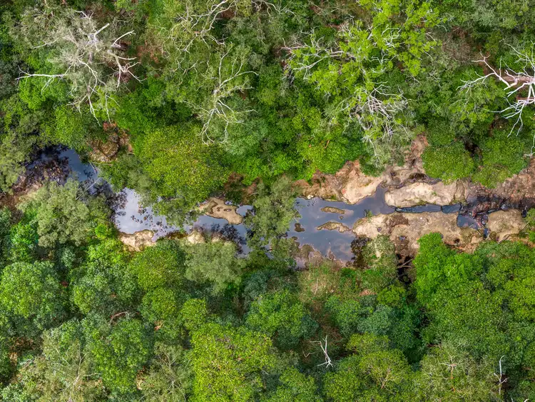 497 Yabbra Road, Yabbra NSW 2469