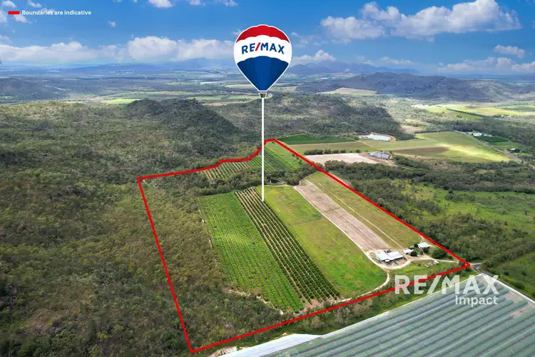 78 Fabris Road, Dimbulah QLD 4872