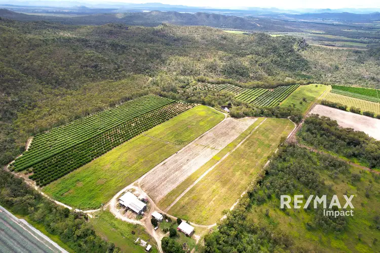 Second view of Homely rural property listing, 78 Fabris Road, Dimbulah QLD 4872