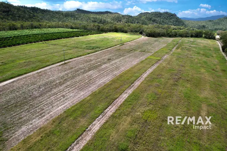 Fourth view of Homely rural property listing, 78 Fabris Road, Dimbulah QLD 4872