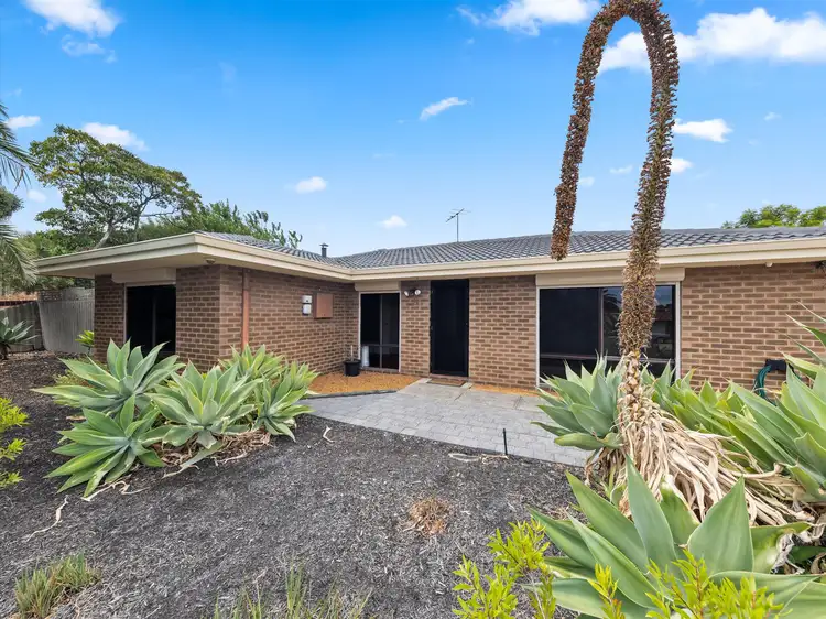8 Mannion Way, Kardinya WA 6163