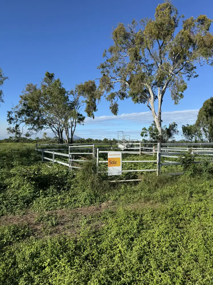Main view of Homely rural property listing, MULTIPLE LOTS Cape Creek Road, Gumlu QLD 4805
