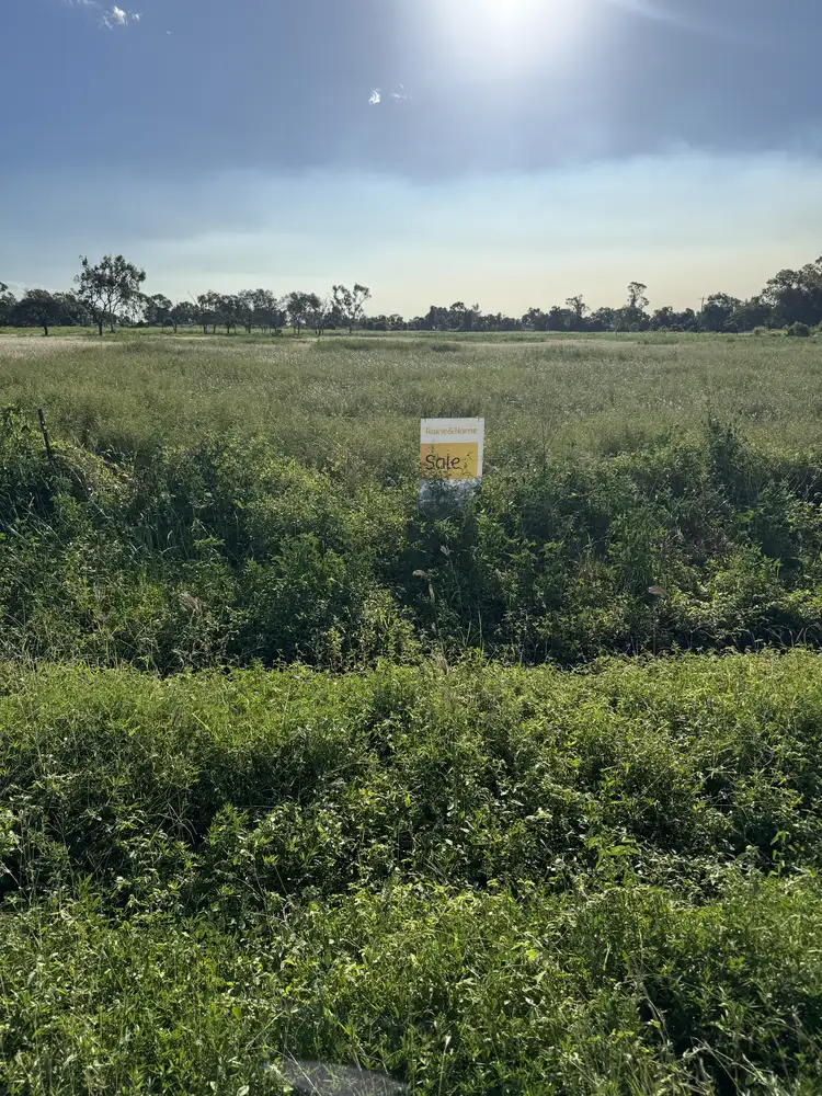 Fourth view of Homely rural property listing, MULTIPLE LOTS Cape Creek Road, Gumlu QLD 4805