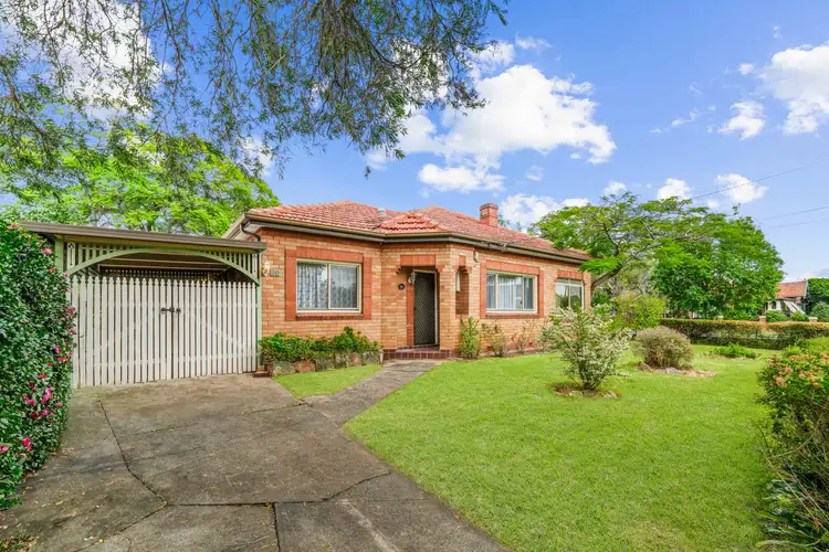 20 Zoeller Street, Concord NSW 2137